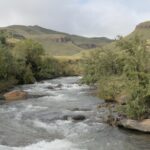 pexels-stefan-venter-1608736798-31881389